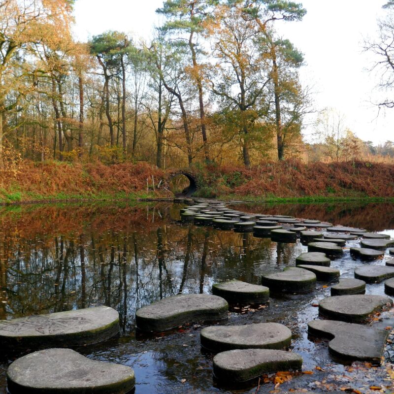 De Beek Buurse - Overijssel - Open Camping Dag