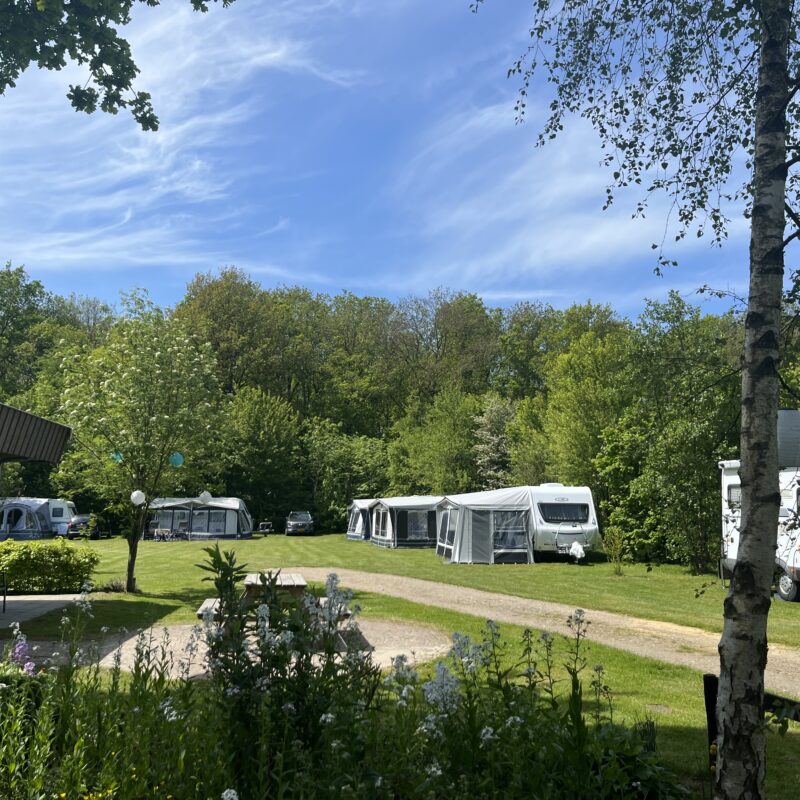 Minicamping Weideland - Friesland - Open Camping dag