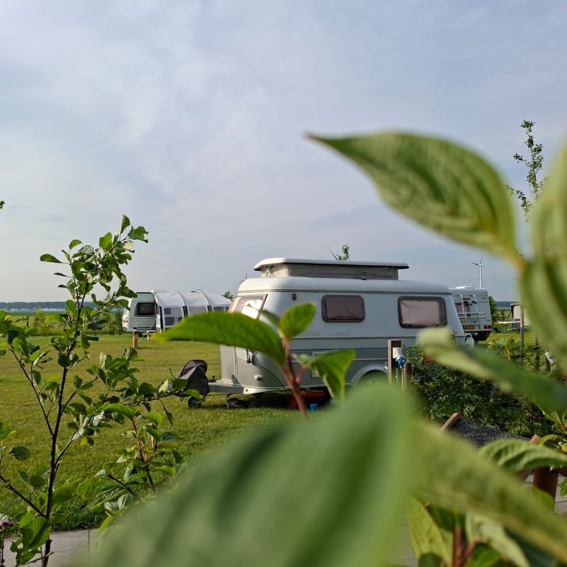 Boerderij-camping Heerlijk Plekkie - Flevoland - Open Camping Dag