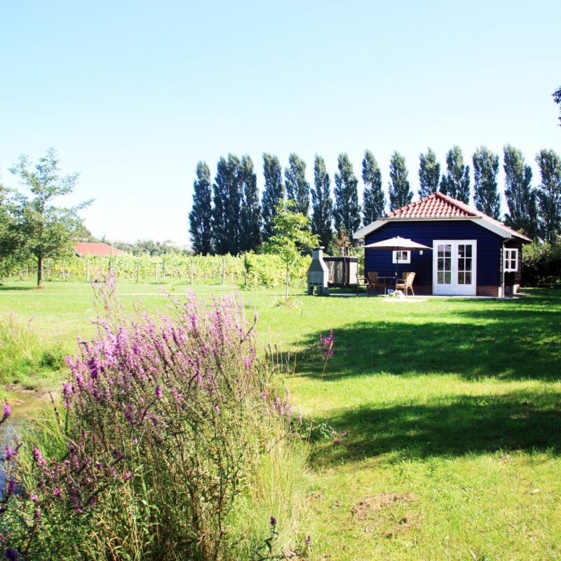 Park NieuwGrapendaal - Gelderland - Open Camping Dag