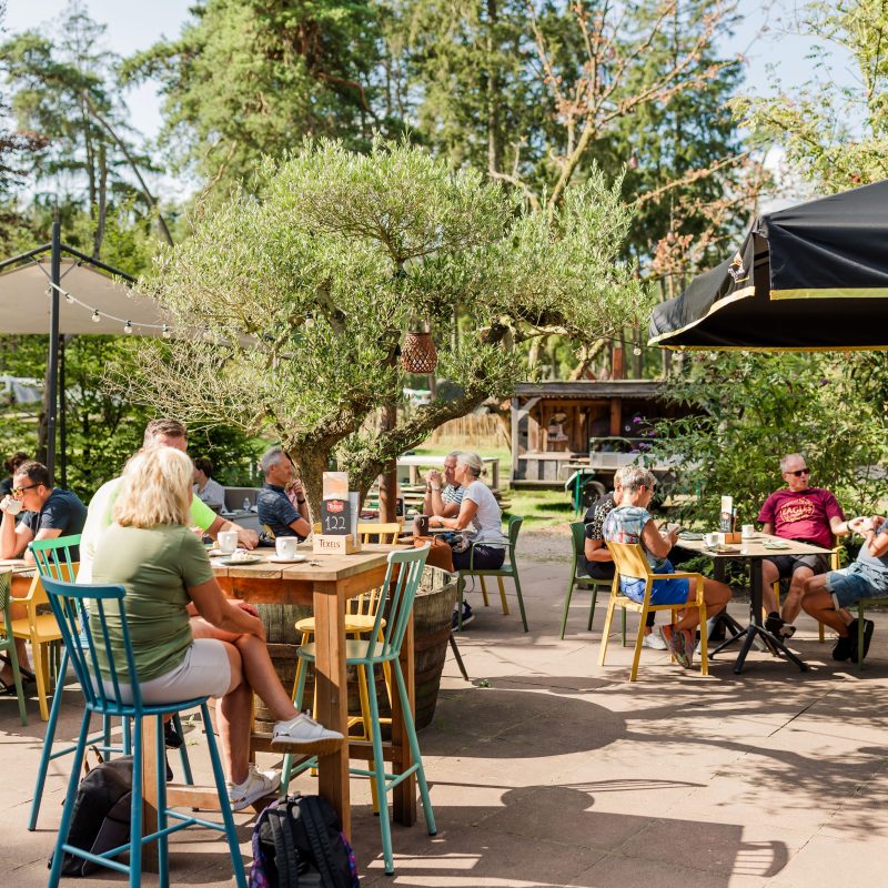 Camping Torentjeshoek - Drenthe - Open Camping Dag