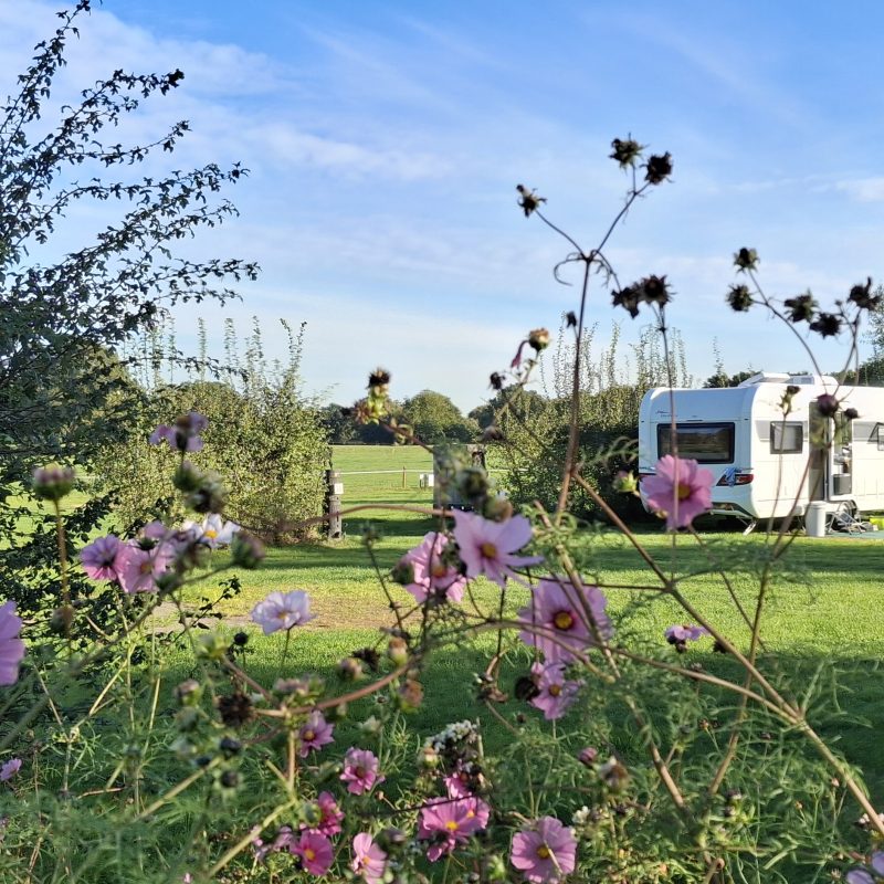 Boerderijcamping de Mebel - Gelderland - Open Camping Dag