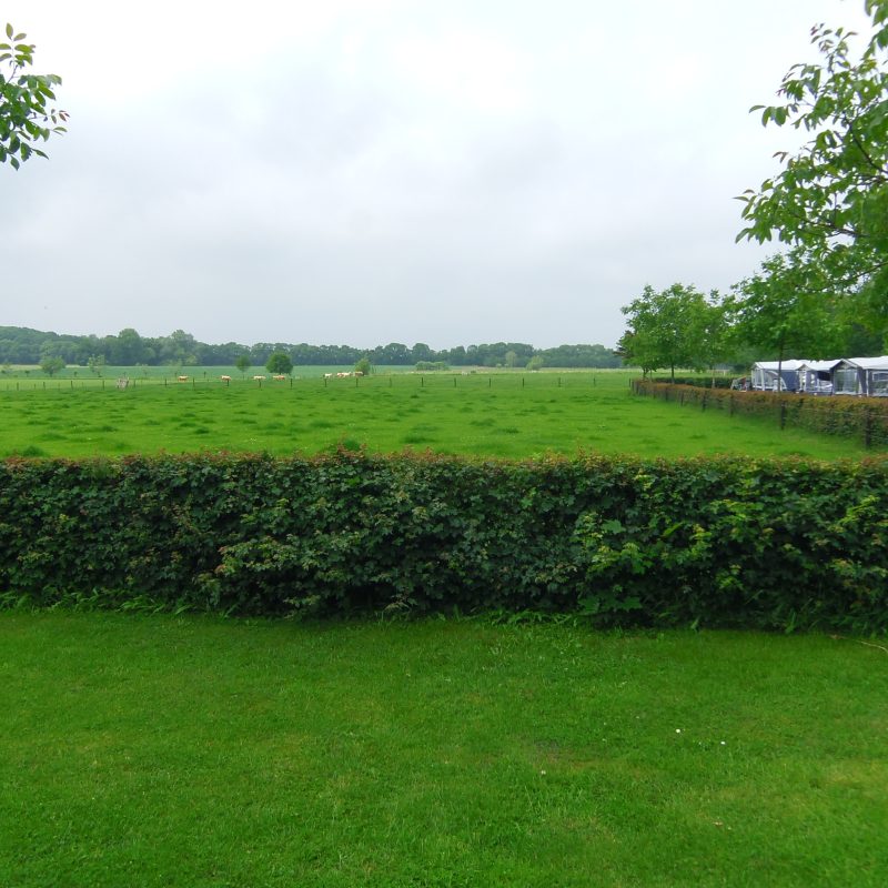 De Menmoerhoeve - Noord-Brabant - Open Camping Dag