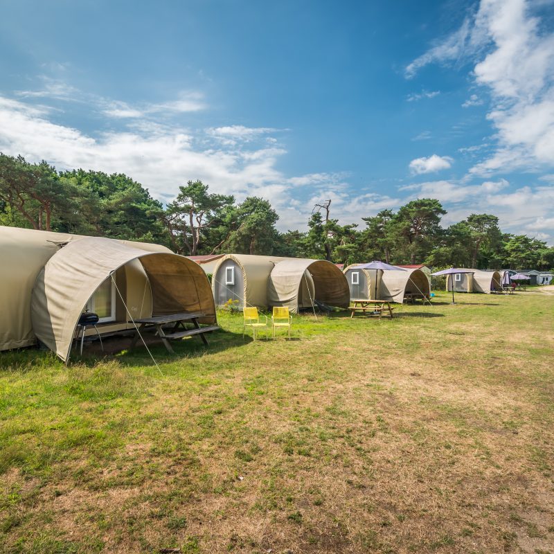 Bos Park Bilthoven - Utrecht - Open Camping Dag