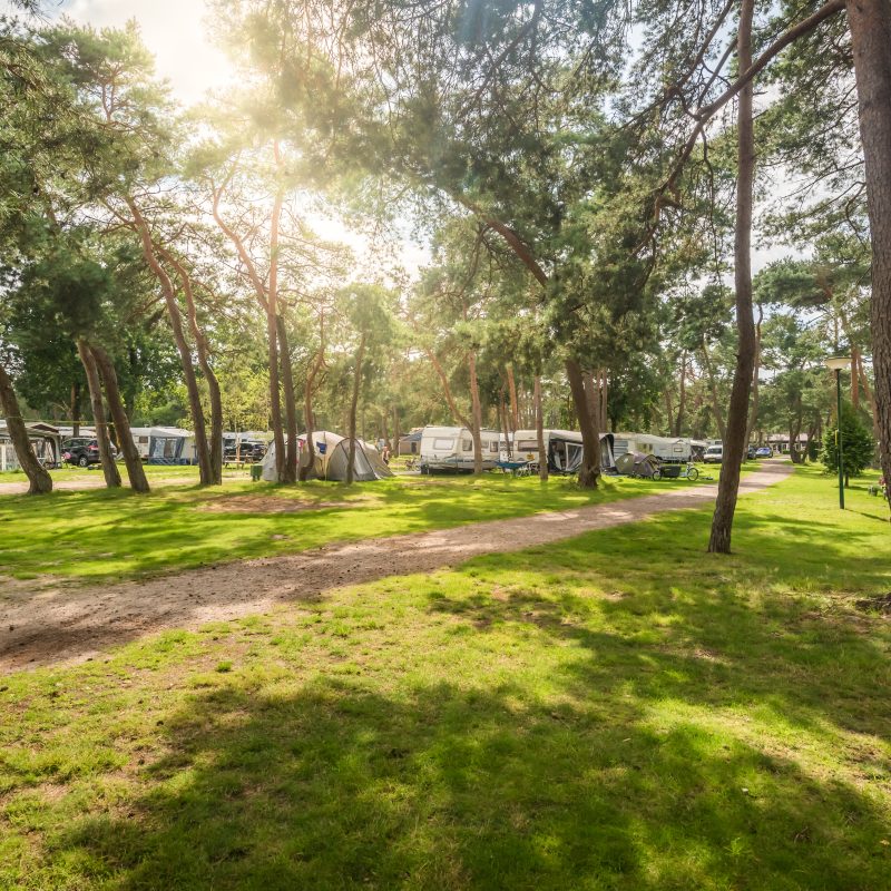 Bos Park Bilthoven - Utrecht - Open Camping Dag
