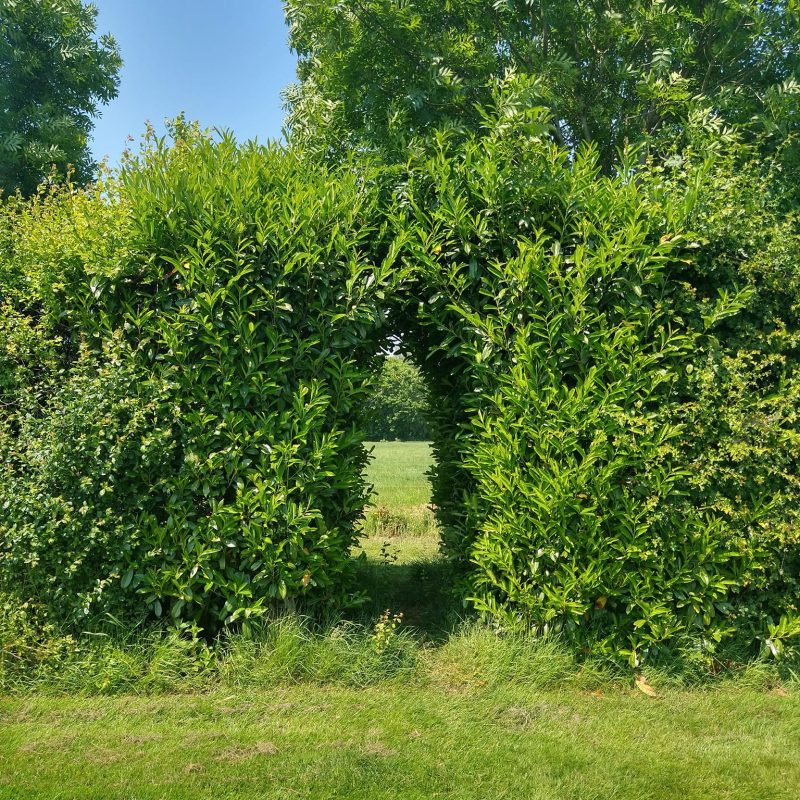 Camping De Veenborg - Groningen - Open Camping Dag