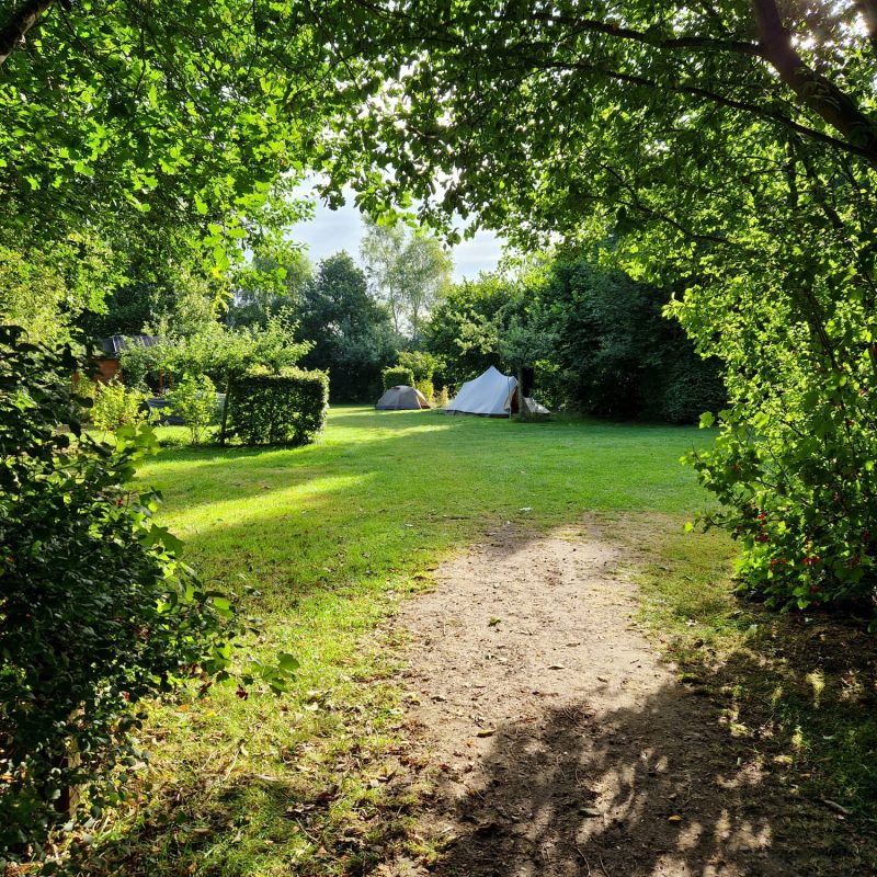 Natuurkampeerterrein Laaghalerveld - Drenthe - Open Camping Dag