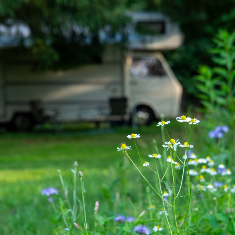 Minicamping & camperplaats Hygge Veen - Drenthe - Open Camping Dag