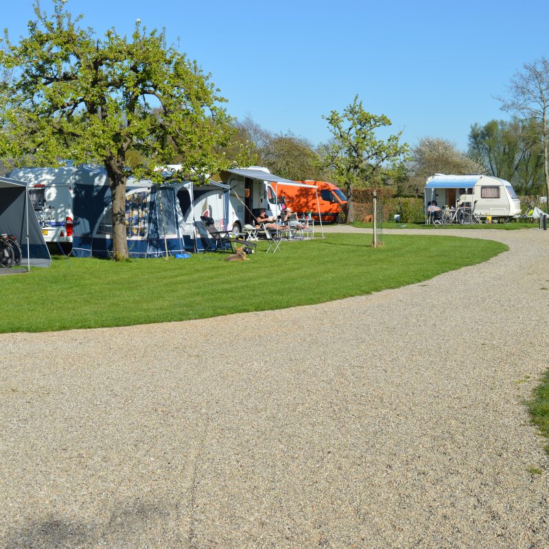 Camping 't Boomgaardje - Utrecht - Open Camping Dag