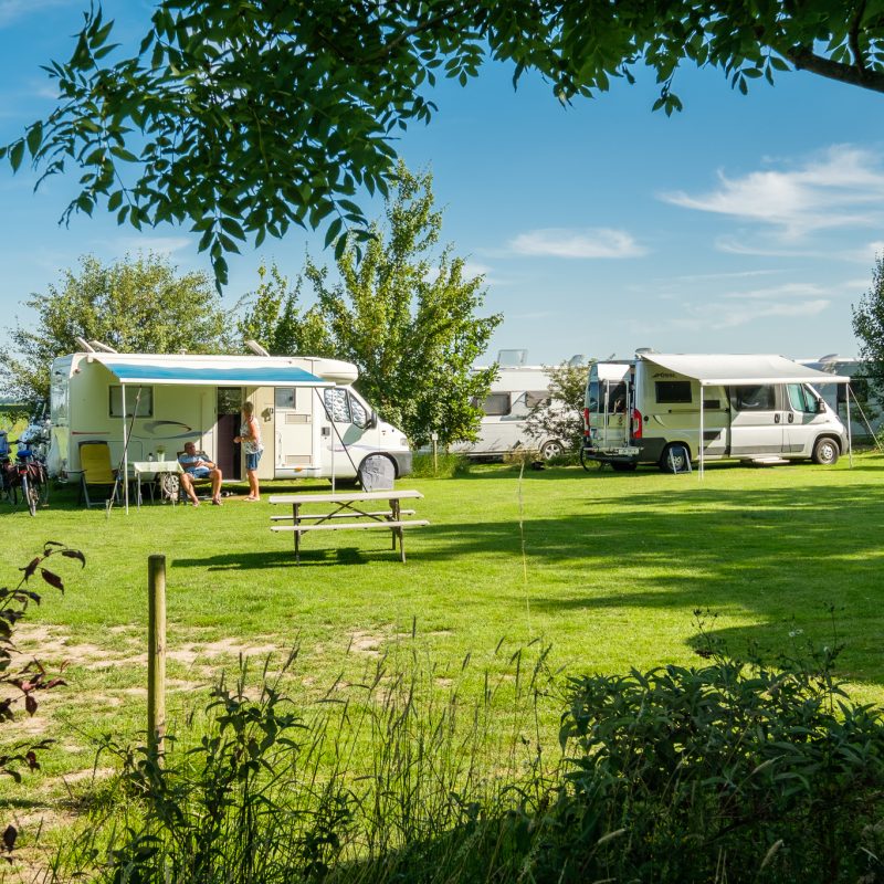 Felis Hoeve - Gelderland - Open Camping Dag