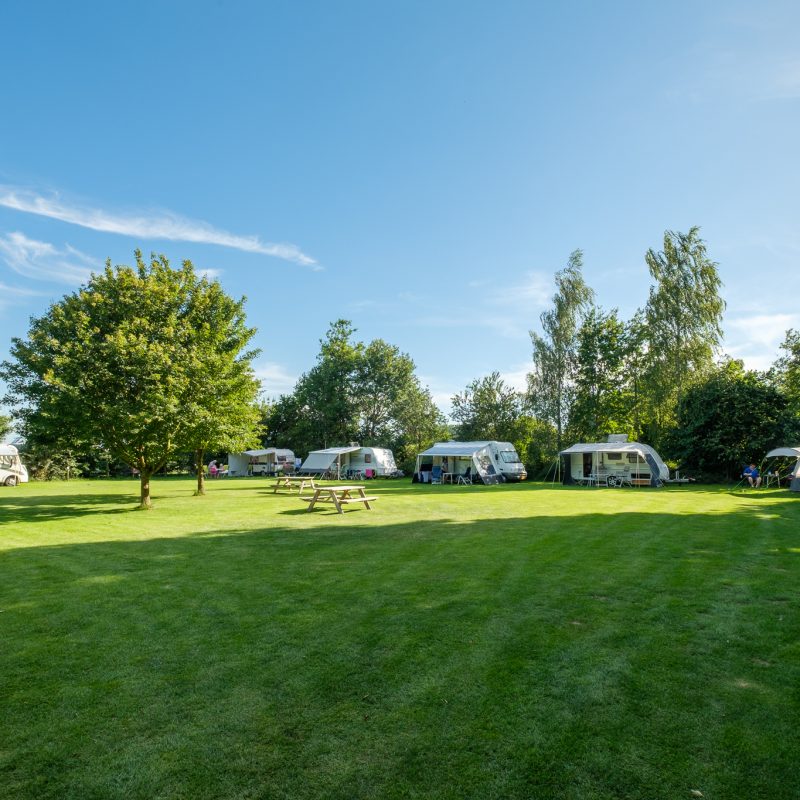 Felis Hoeve - Gelderland - Open Camping Dag