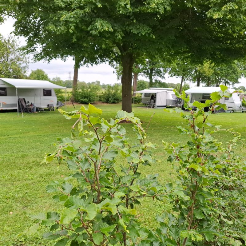 Mini Camping de Walsert - Noord-Brabant - Open Camping Dag