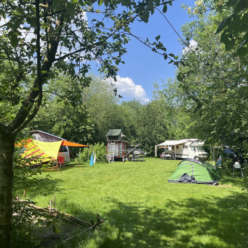 Natuurkampeerterrein Laaghalerveld - Drenthe - Open Camping Dag