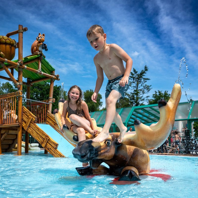 Veluwecamping De Pampel