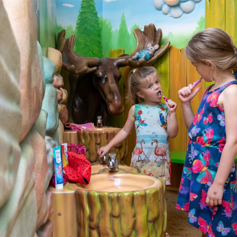 Veluwecamping De Pampel - Gelderland - Open Camping Dag