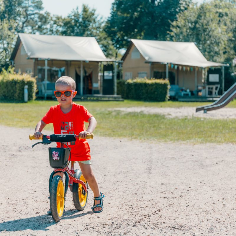 Recreatiepark de Boshoek - Gelderland - Open Camping Dag
