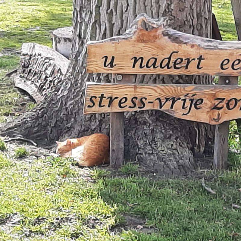 Oudlandse Hoeve - Noord-Brabant - Open Camping Dag