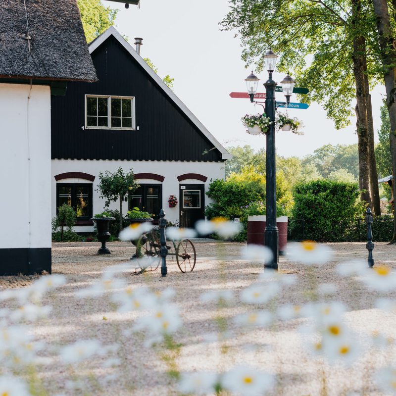 Recreatiepark Het Eperwoud