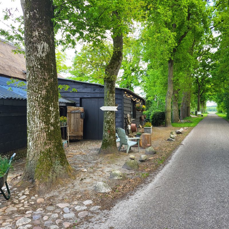Niezinghoeve - Drenthe - Open Camping Dag