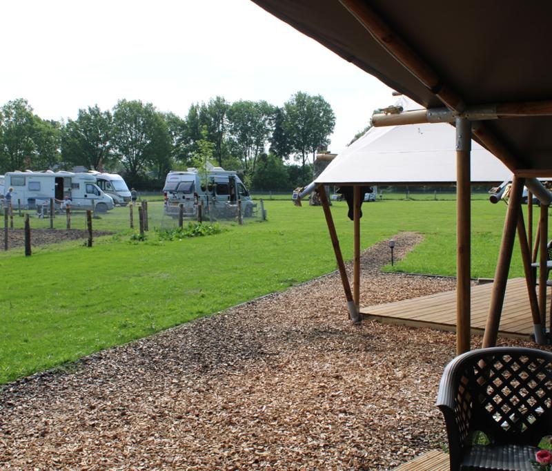 Landwinkel/camping de waterbuffelfarm - Overijssel - Open Camping Dag
