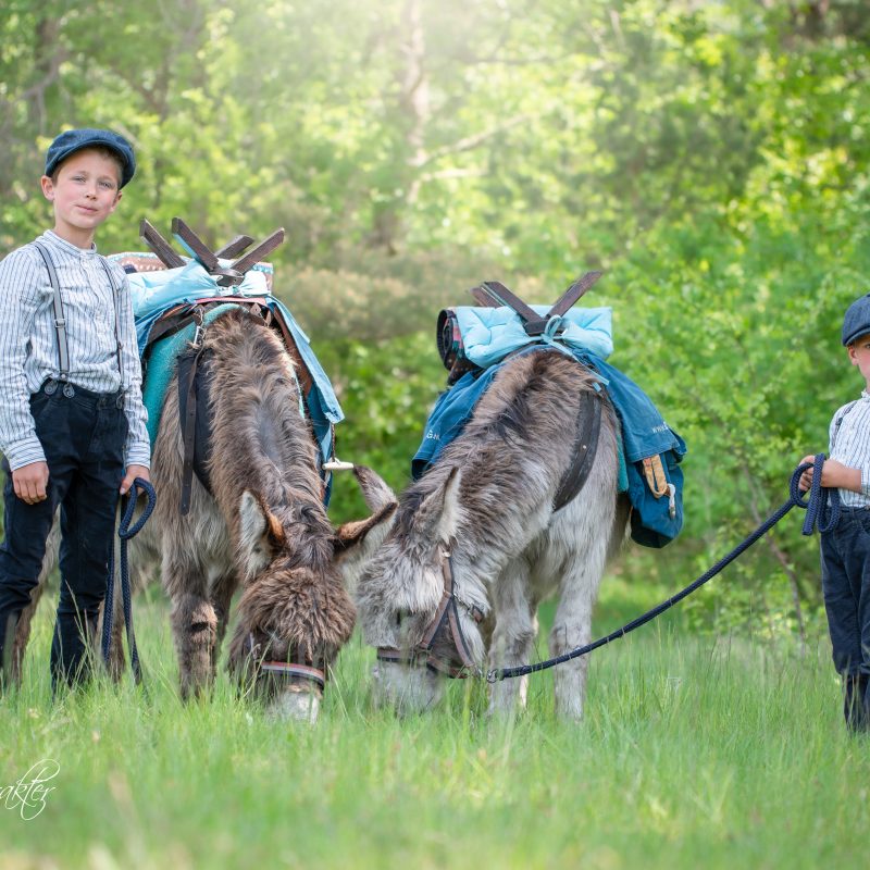 Boerderijcamping De Kreitsberg - Drenthe - Open Camping Dag