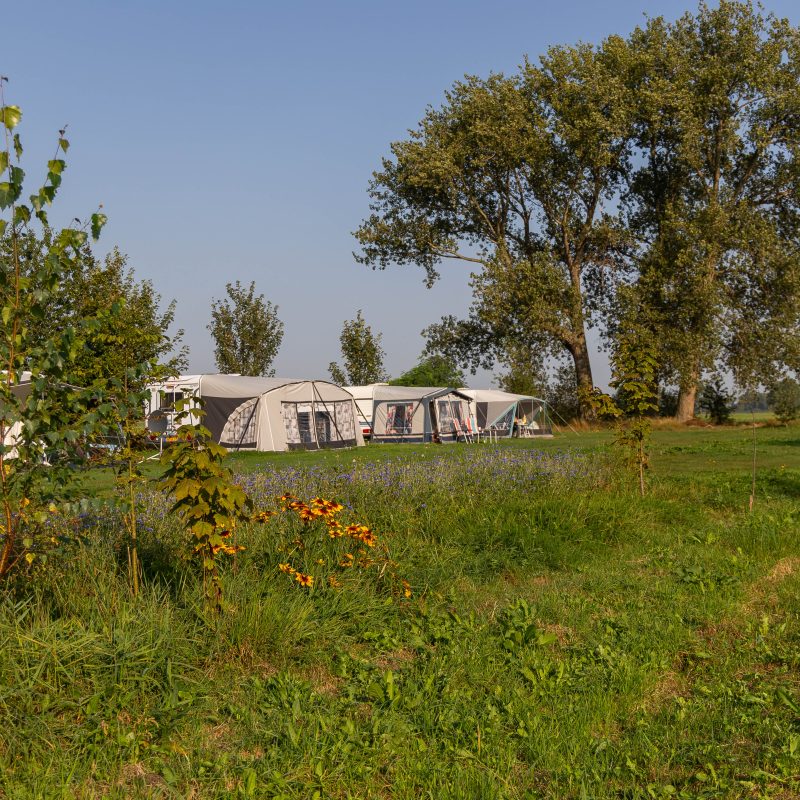 Camping Slingeland - Zuid-Holland - Open Camping Dag