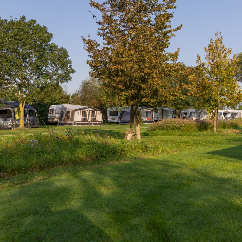 Camping Slingeland