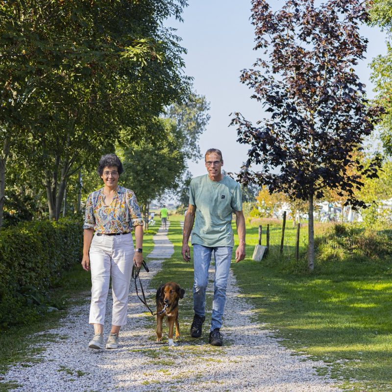 Camping Slingeland - Zuid-Holland - Open Camping Dag