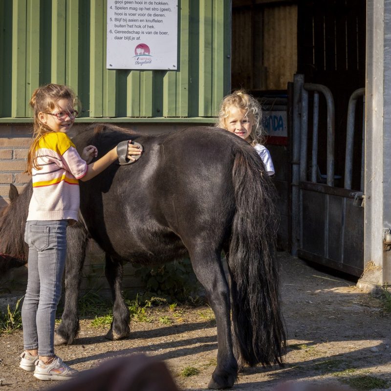 Camping Slingeland - Zuid-Holland - Open Camping Dag