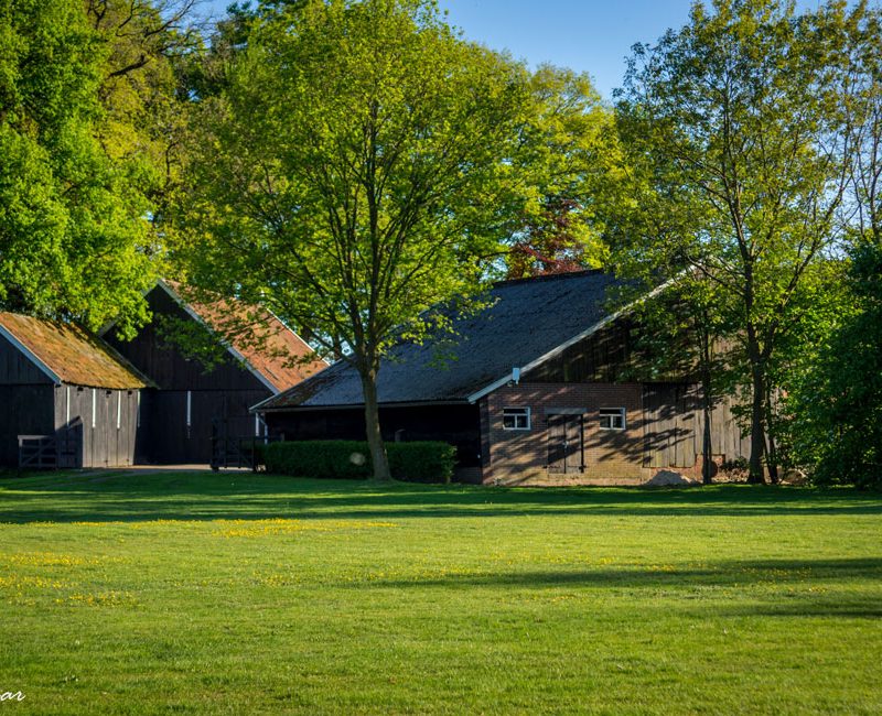 Minicamping Erve Mölman - Overijssel - Open Camping Dag