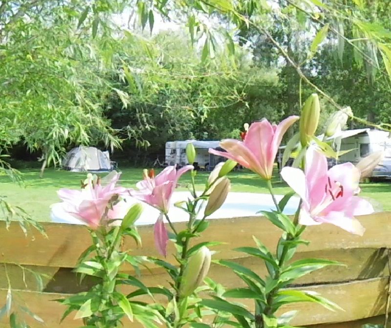 Kamperen en vakantie bij La Petite Étoile - Hongarije - Open Camping Dag