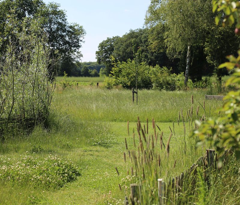 camping Campeerd - Overijssel - Open Camping Dag