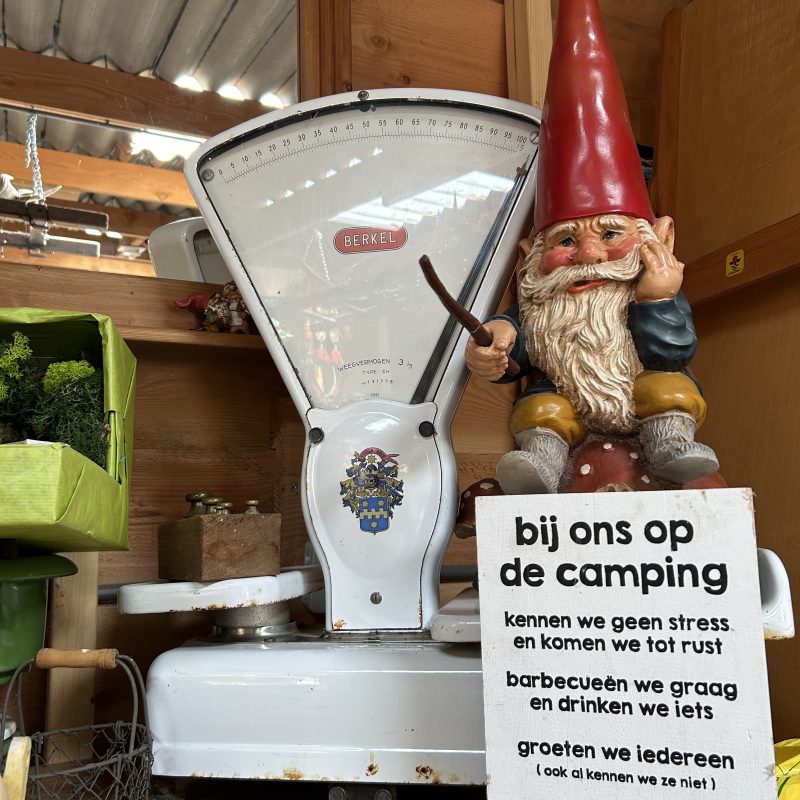 Minicamping Molenallee Loenen op de Veluwe - Gelderland - Open Camping Dag