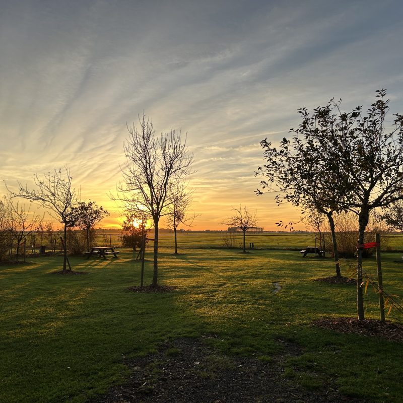 De Wartenster - Friesland - Open Camping Dag