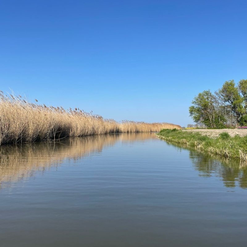 minicamping Kastanjehoeve.go - Zuid-Holland - Open Camping Dag
