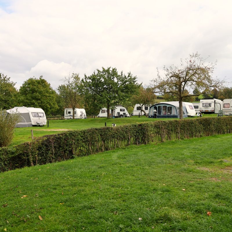 Bovenste Bos - Limburg - Open Camping Dag