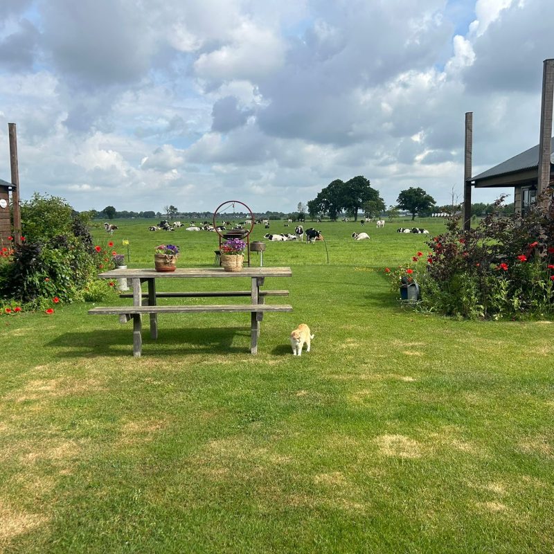 Boerderij de Peelakker - Noord-Brabant - Open Camping Dag