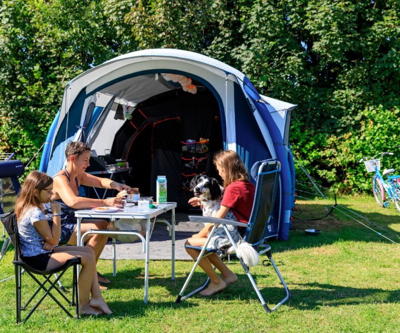 Camping Tempelhof - Noord-Holland - Open Camping Dag