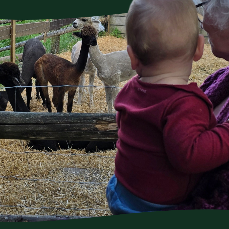 Gyvelborg Naturcamping - Denemarken - Open Camping Dag