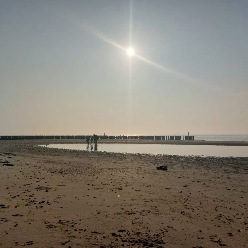 Camping de Westhoek - Zeeland - Open Camping Dag