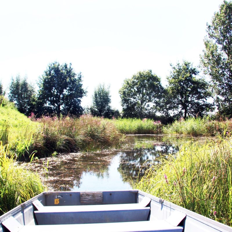 Park NieuwGrapendaal - Gelderland - Open Camping Dag