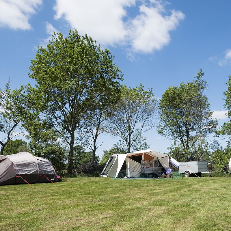 Camping de Berghoeve - Drenthe - Open Camping Dag