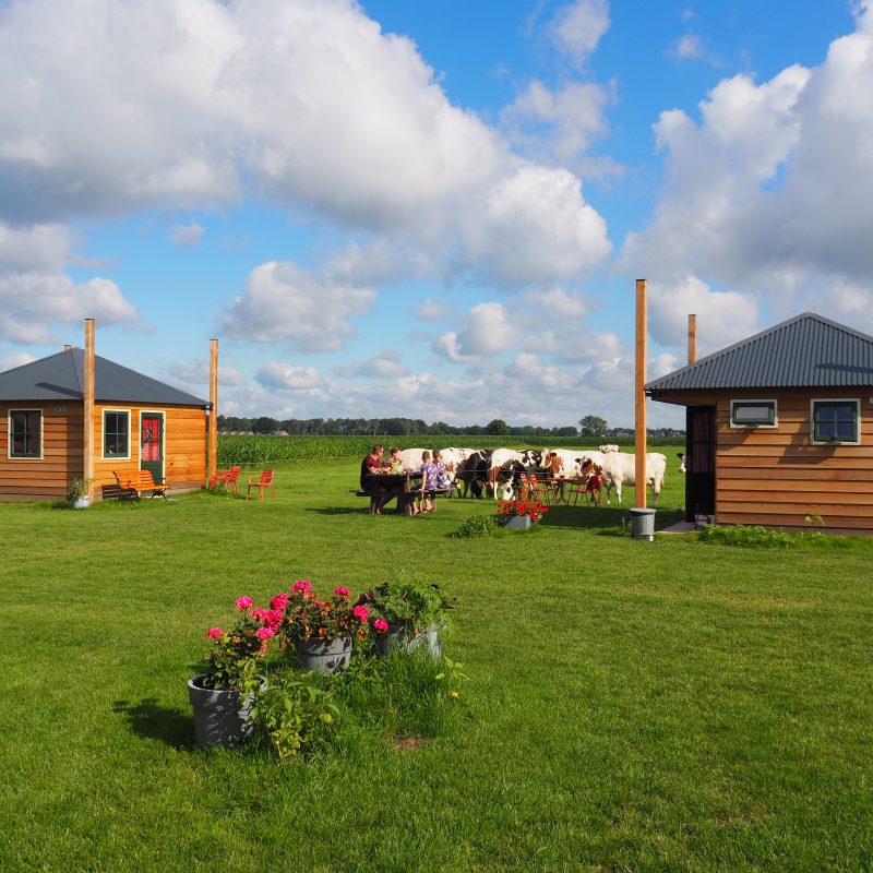 Boerderij de Peelakker - Noord-Brabant - Open Camping Dag
