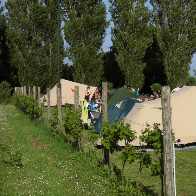 Park NieuwGrapendaal