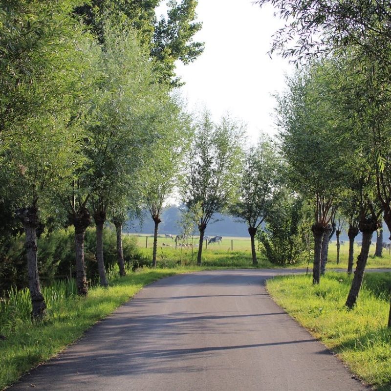 Camping Noorthey - Zuid-Holland - Open Camping Dag