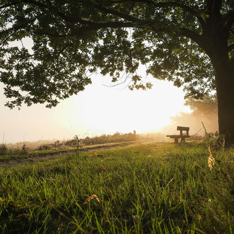 Camping de Berghoeve - Drenthe - Open Camping Dag