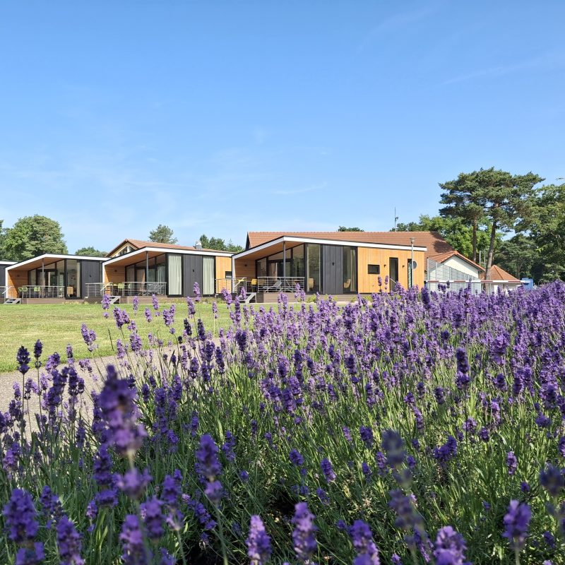 Camping de Somerense Vennen