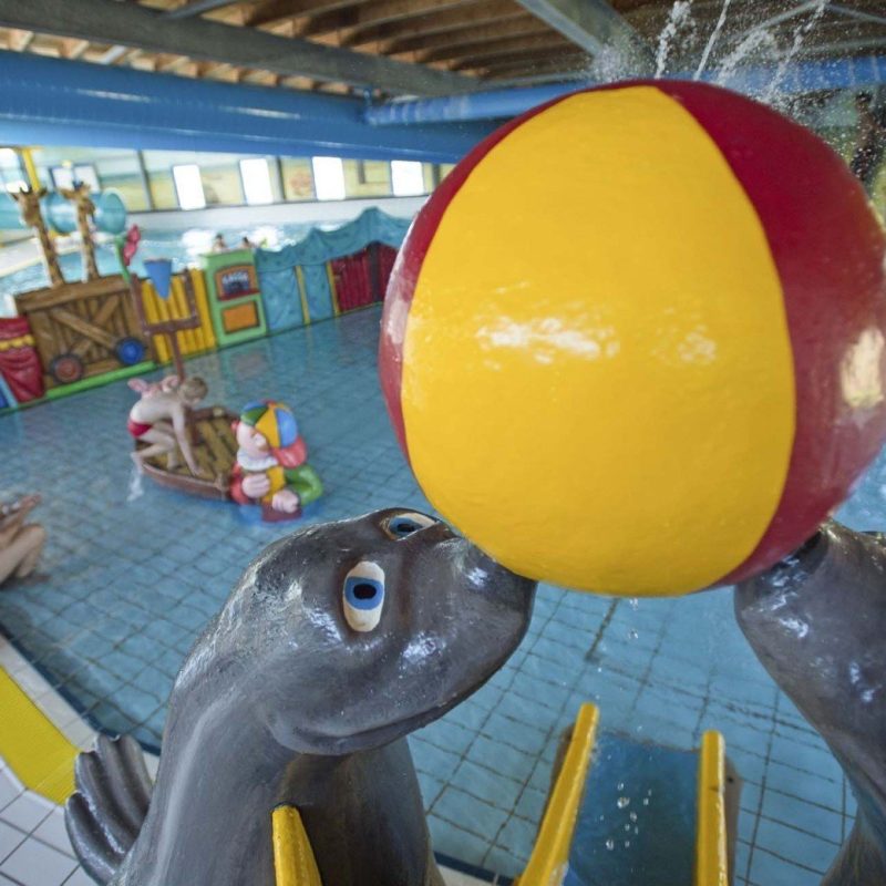 Camping Tempelhof - Noord-Holland - Open Camping Dag