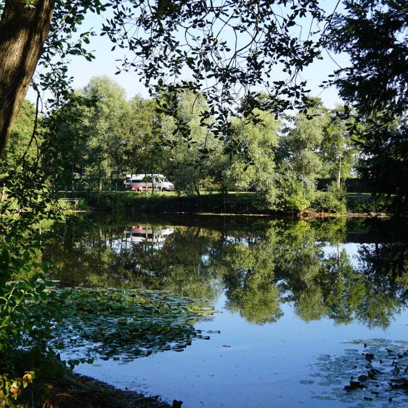 Camping Het Peelvenneke - Noord-Brabant - Open Camping Dag