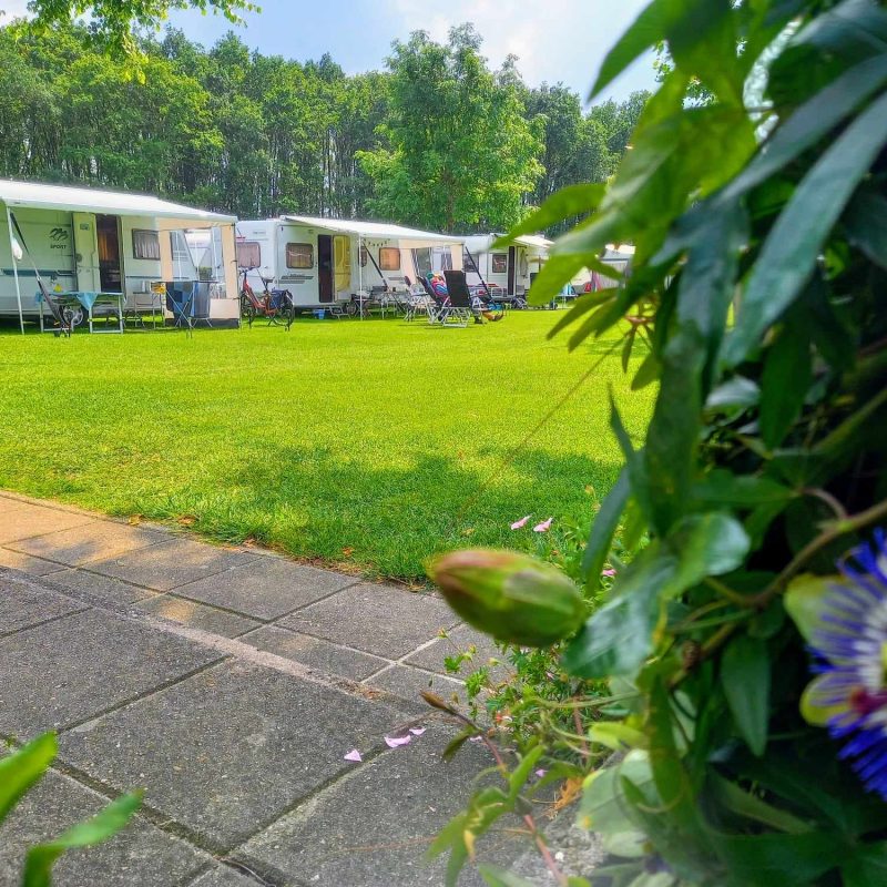 Minicamping De Linde - Limburg - Open Camping Dag